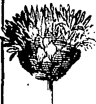 110/110220030100640_3.png