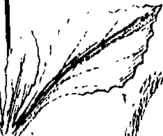 110/110220030100650_0.png