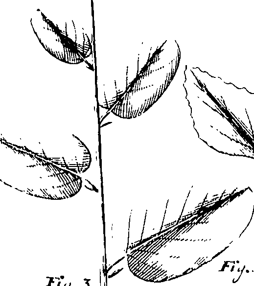 110/110220030100650_1.png