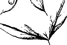 110/110220030100660_0.png