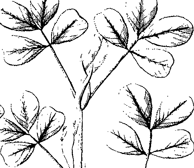 110/110220030100660_1.png
