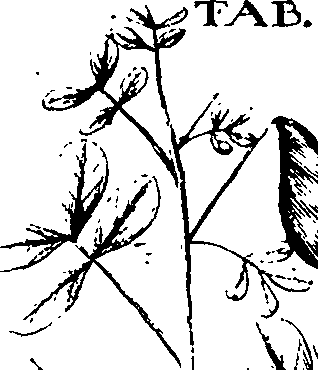 110/110220030100660_2.png