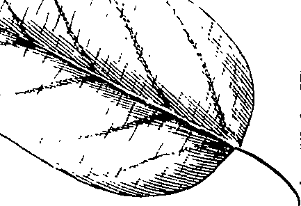 110/110220030100670_1.png