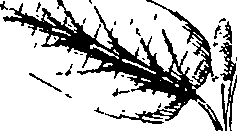 110/110220030100670_2.png