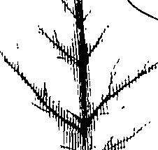 110/110220030100680_0.png