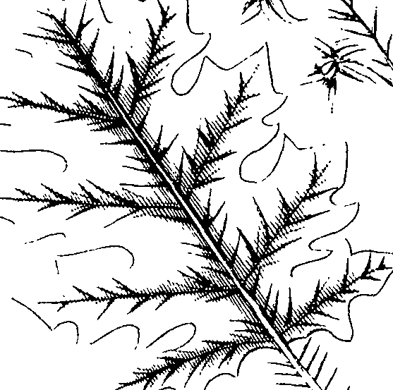 110/110220030100680_1.png