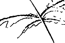 110/110220030100690_0.png