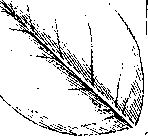 110/110220030100690_1.png