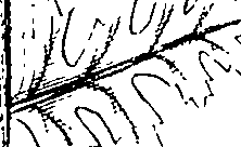 110/110220030100710_1.png