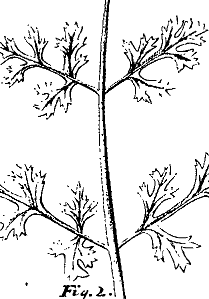 110/110220030100720_1.png