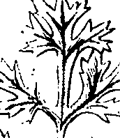 110/110220030100720_2.png