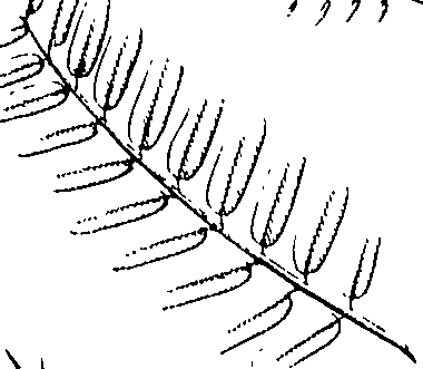 110/110220030100730_0.png