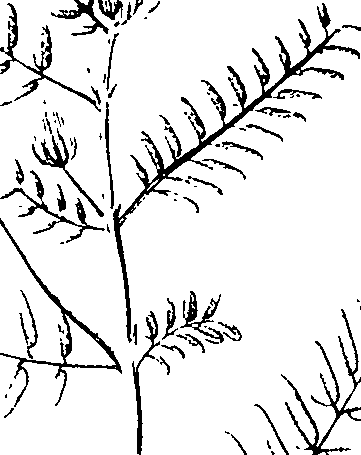 110/110220030100730_1.png