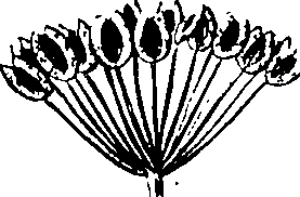 110/110220030100730_3.png