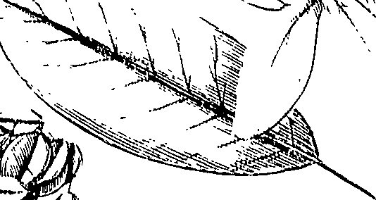 110/110220030100740_0.png