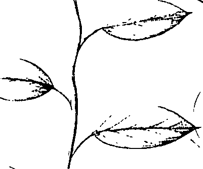 110/110220030100750_0.png