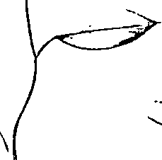 110/110220030100750_1.png