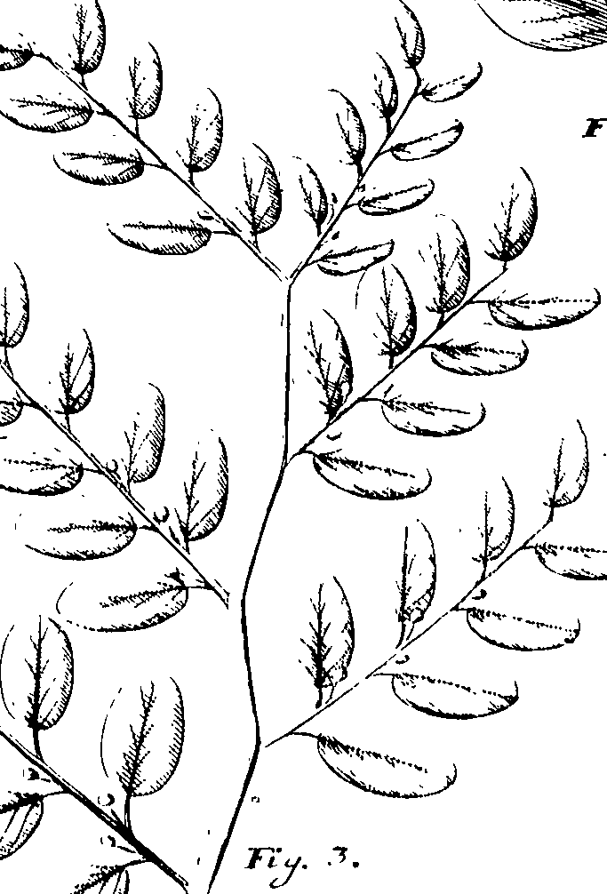 110/110220030100750_2.png