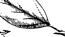 110/110220030100750_3.png