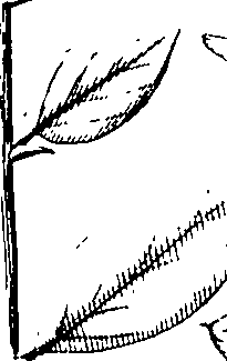 110/110220030100750_4.png