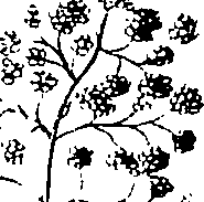 110/110220030100750_5.png