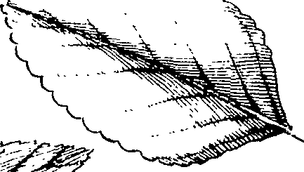110/110220030100760_0.png