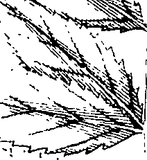 110/110220030100760_1.png