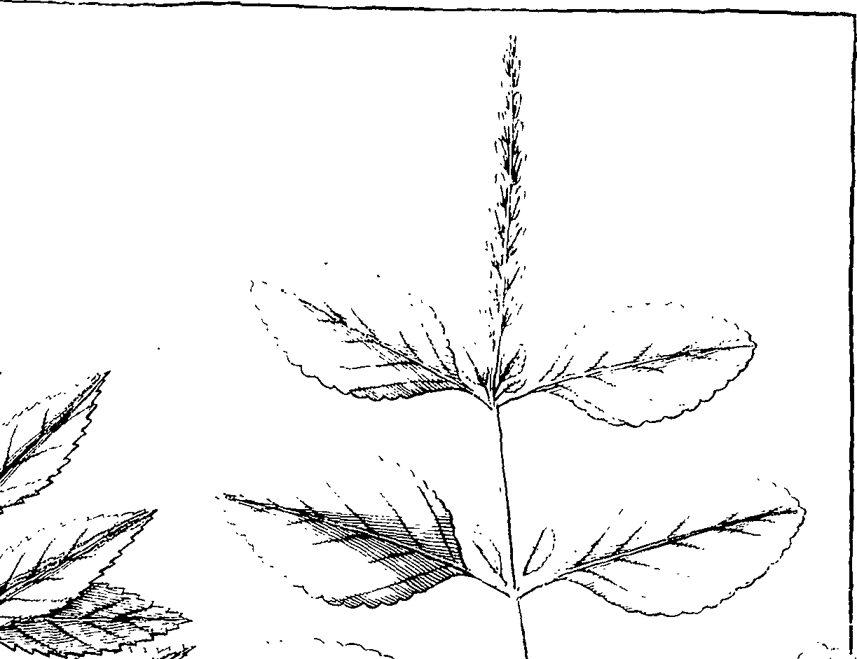 110/110220030100760_2.png