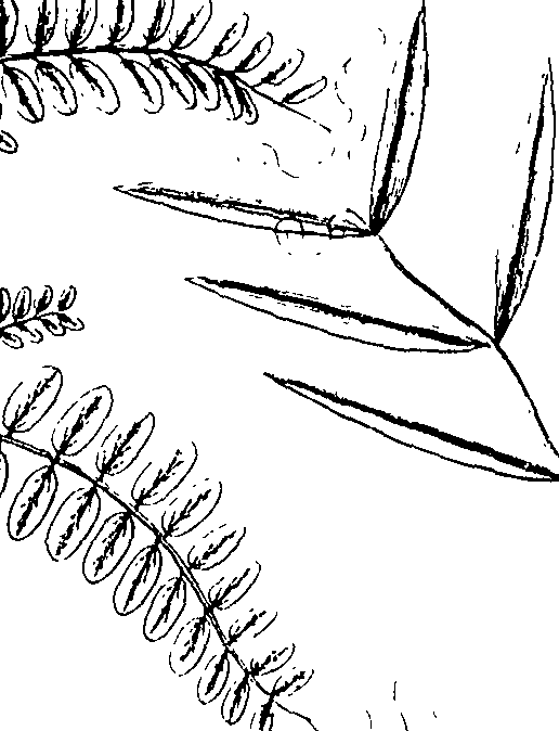110/110220030100770_0.png