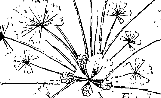 110/110220030200040_0.png