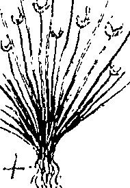 110/110220030200050_0.png