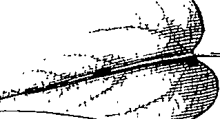110/110220030200060_1.png