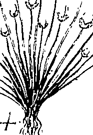 110/110220030200060_2.png
