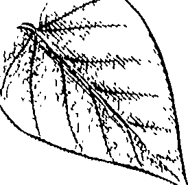 110/110220030200080_0.png