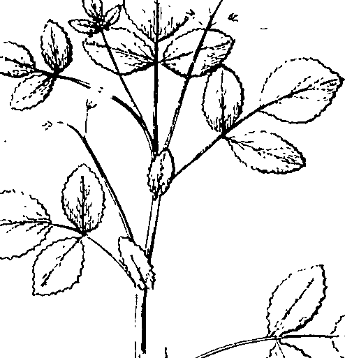 110/110220030200080_1.png