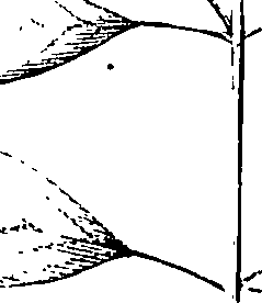 110/110220030200090_0.png