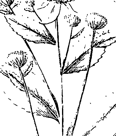 110/110220030200100_1.png