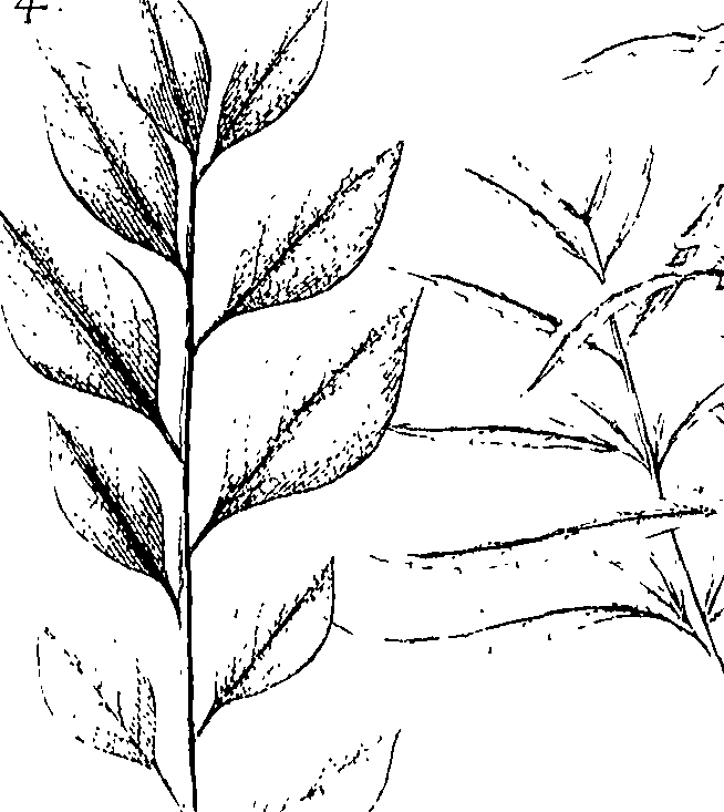 110/110220030200120_0.png