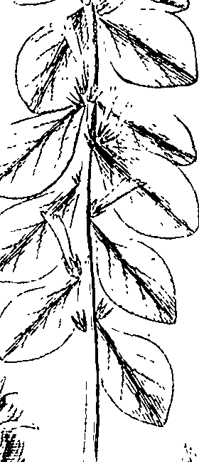 110/110220030200120_1.png