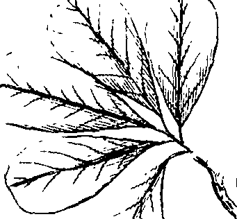 110/110220030200130_0.png