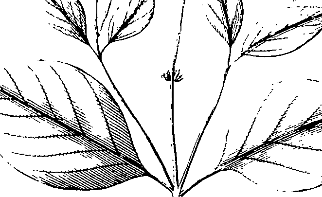 110/110220030200150_1.png