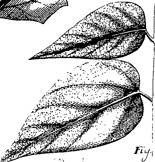 110/110220030200160_0.png