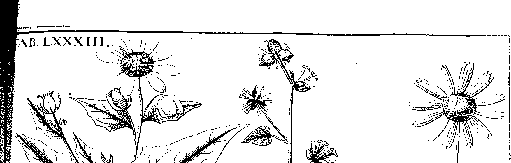 110/110220030200160_1.png
