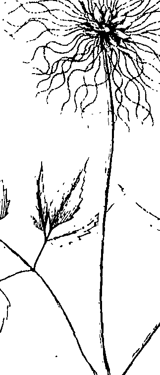 110/110220030200170_1.png