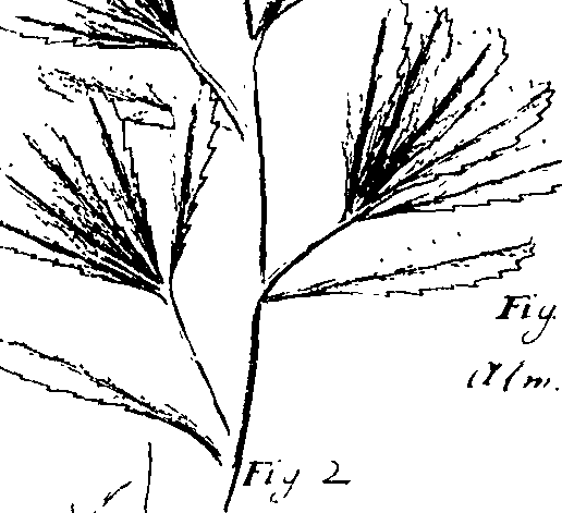 110/110220030200170_2.png