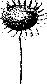 110/110220030200170_3.png