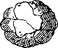 110/110220030200180_1.png