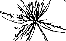 110/110220030200180_2.png
