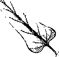 110/110220030200180_3.png