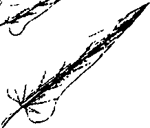 110/110220030200180_4.png